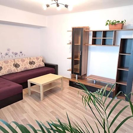 Apartament Titulescu/Banu Manta Apartment Букурещ Екстериор снимка