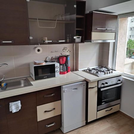 Apartament Titulescu/Banu Manta Apartment Букурещ Екстериор снимка