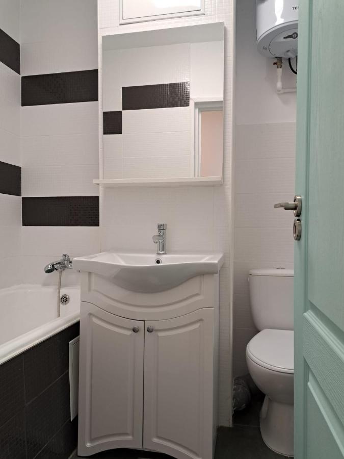 Apartament Titulescu/Banu Manta Apartment Букурещ Екстериор снимка
