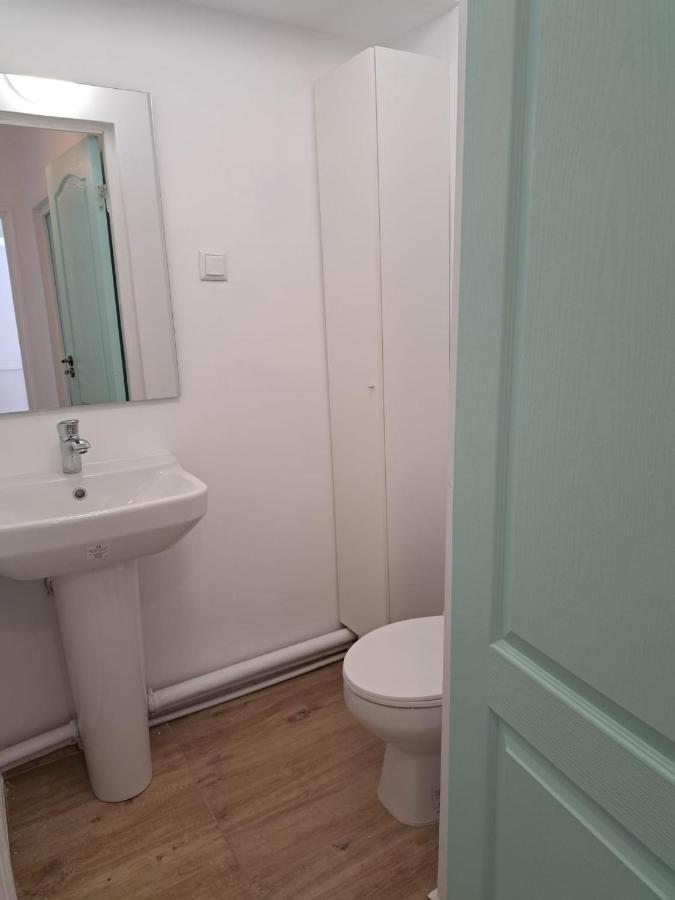 Apartament Titulescu/Banu Manta Apartment Букурещ Екстериор снимка